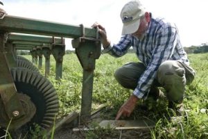 organic peanut farmer