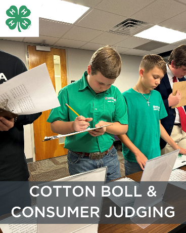 Hone those cotton boll, consumer judging skills